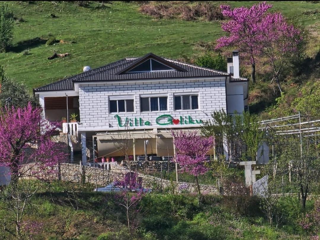 Villa Goliku Pestani Dış mekan fotoğraf